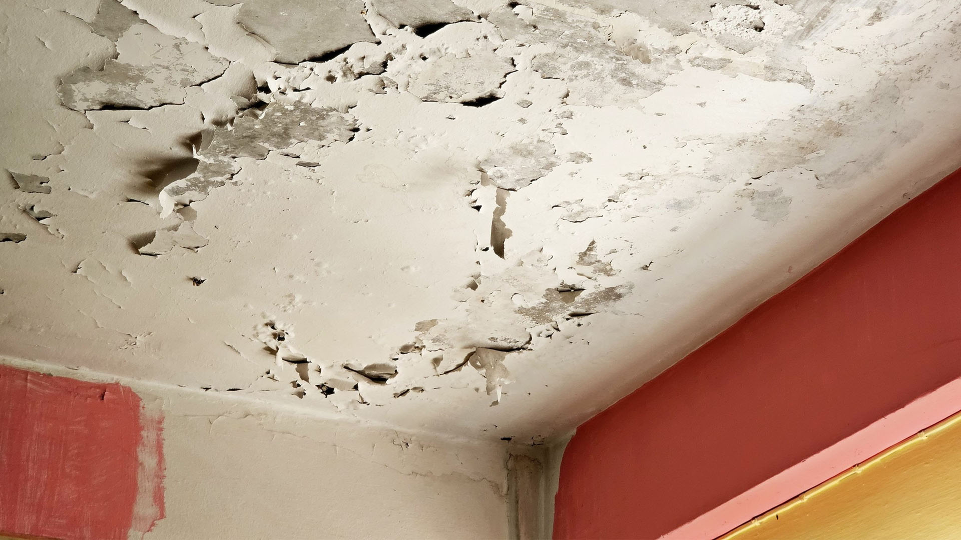 Más que una mancha en la pared: los peligros ocultos de las filtraciones y goteras en tu hogar